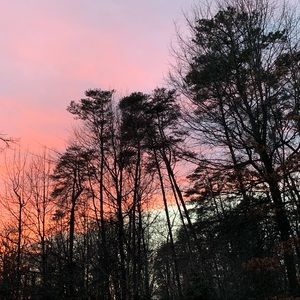 Meet your Posher, Jocelyn